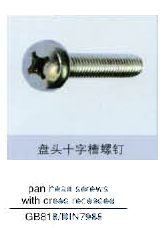 P(pn)^ʮֲ